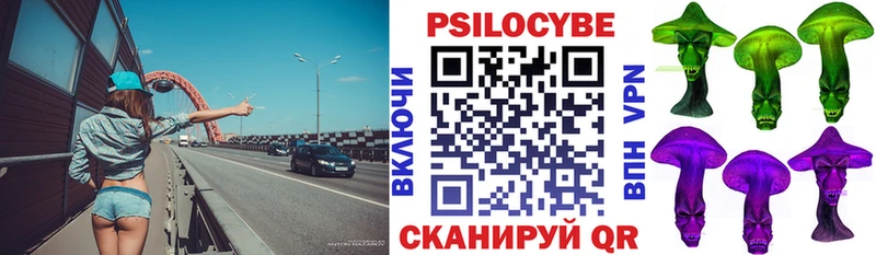 Псилоцибиновые грибы Psilocybe Купить Лагань